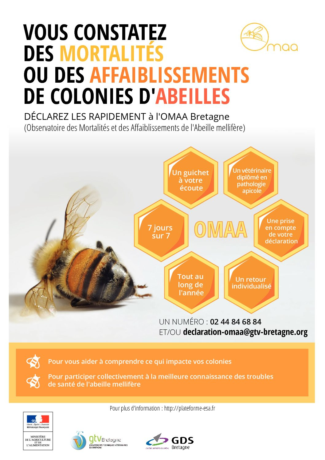 Affiche omaa Bretagne